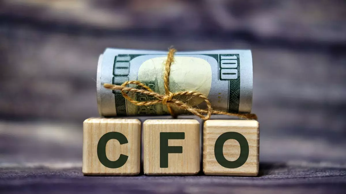O CFO estratégico: além dos números a visão de negócio Startups O CFO estratégico: além dos números a visão de negócio Startups