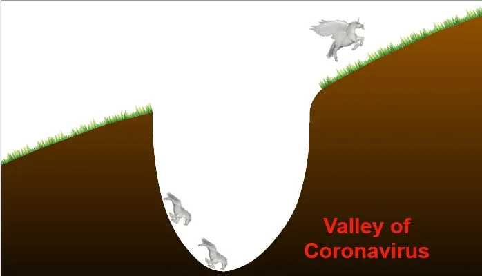 SoftBank vale coronavirus