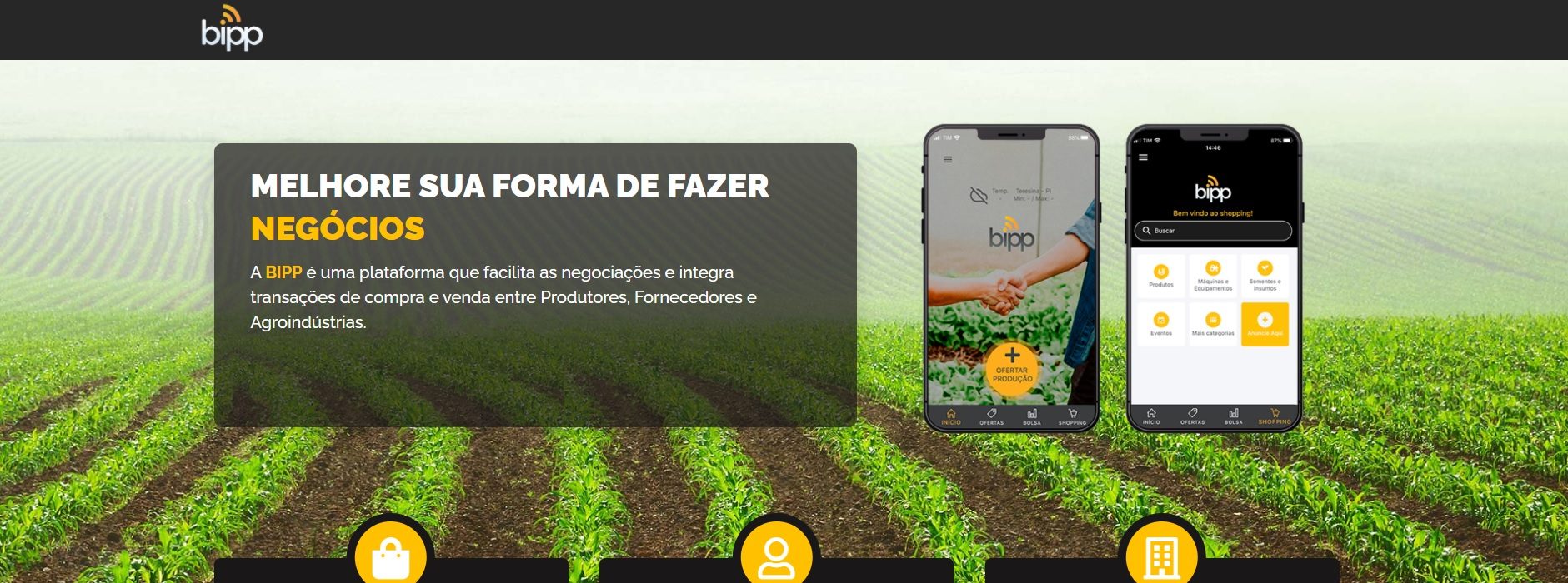 Além da Faria Lima: No interior do Piauí, BIPP vai de marketplace a agfintech
