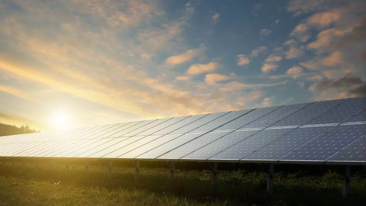 fazenda de energia solar - startups