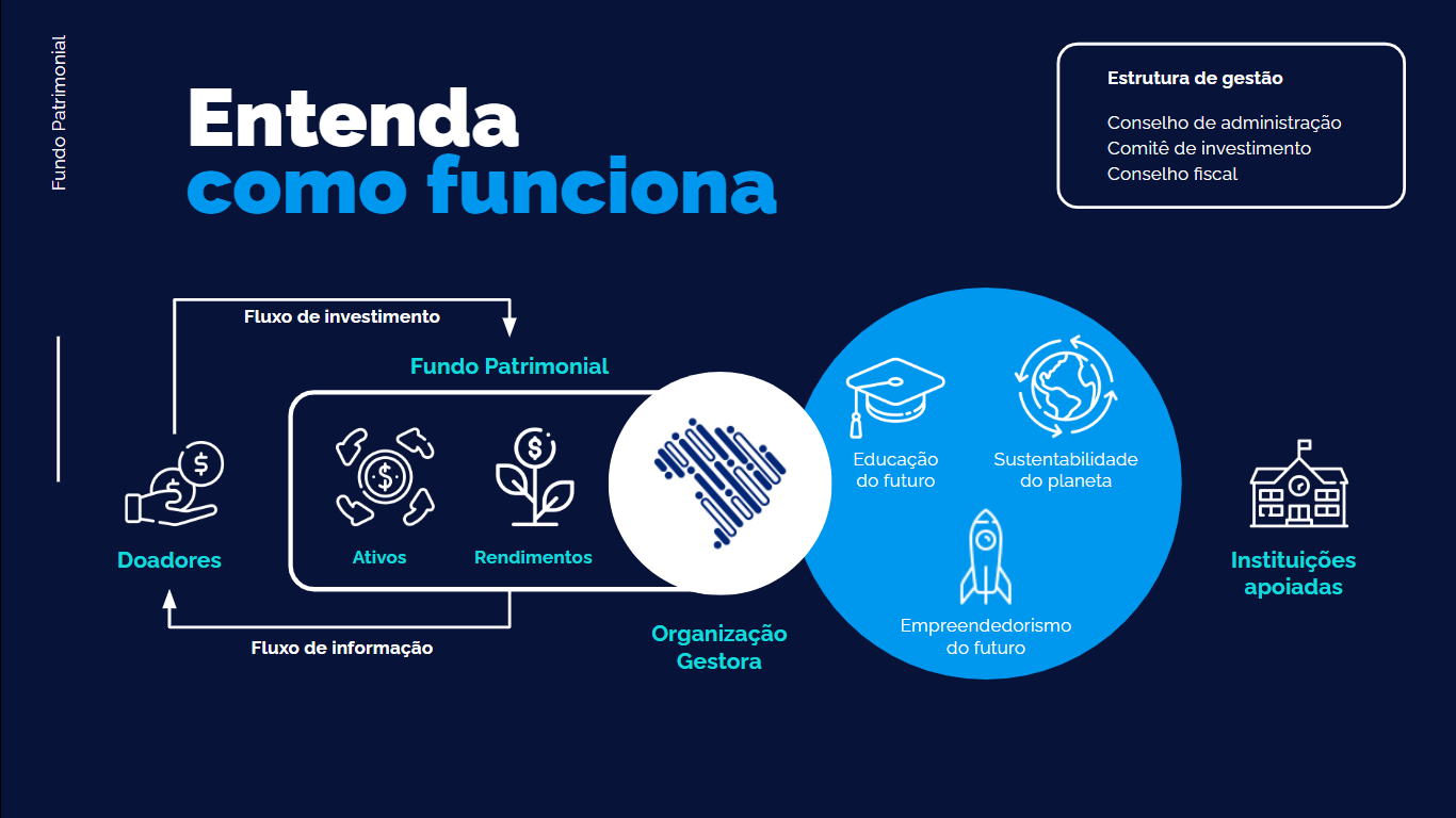 Como funciona o fundo patrimonial da Brasil Startups