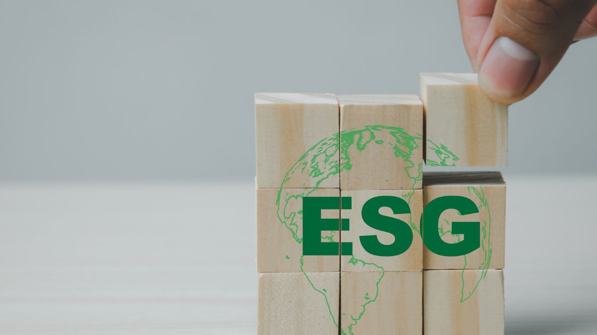 Se eu puder dar um conselho para a sua startup: nasça ESG