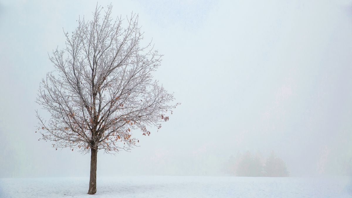 Empreendedor, não tenha medo do inverno