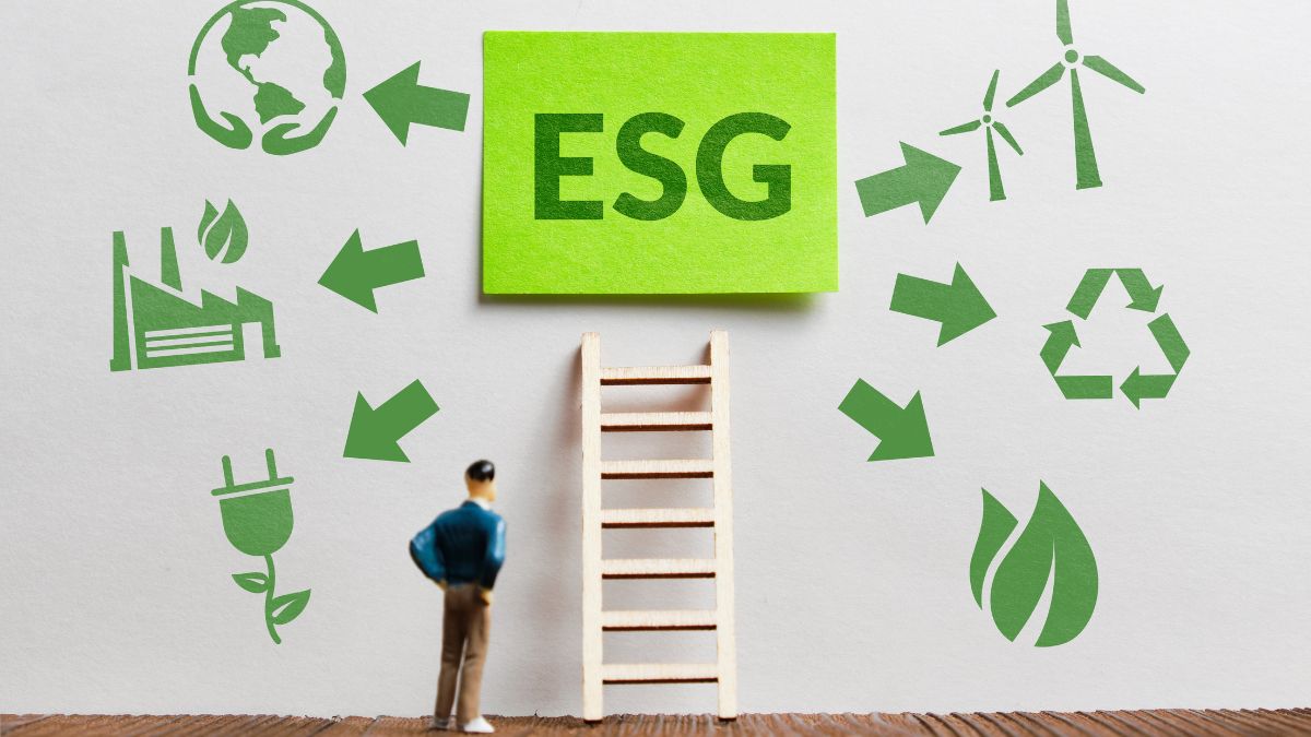 7 lições que aprendi empreendendo em ESG