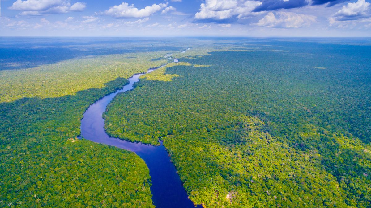 Inovação na Amazônia: startups do Amazonas para ficar de olho em 2024