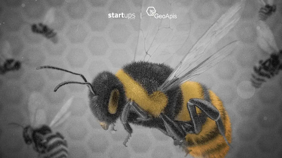 Foto: Arte Startups