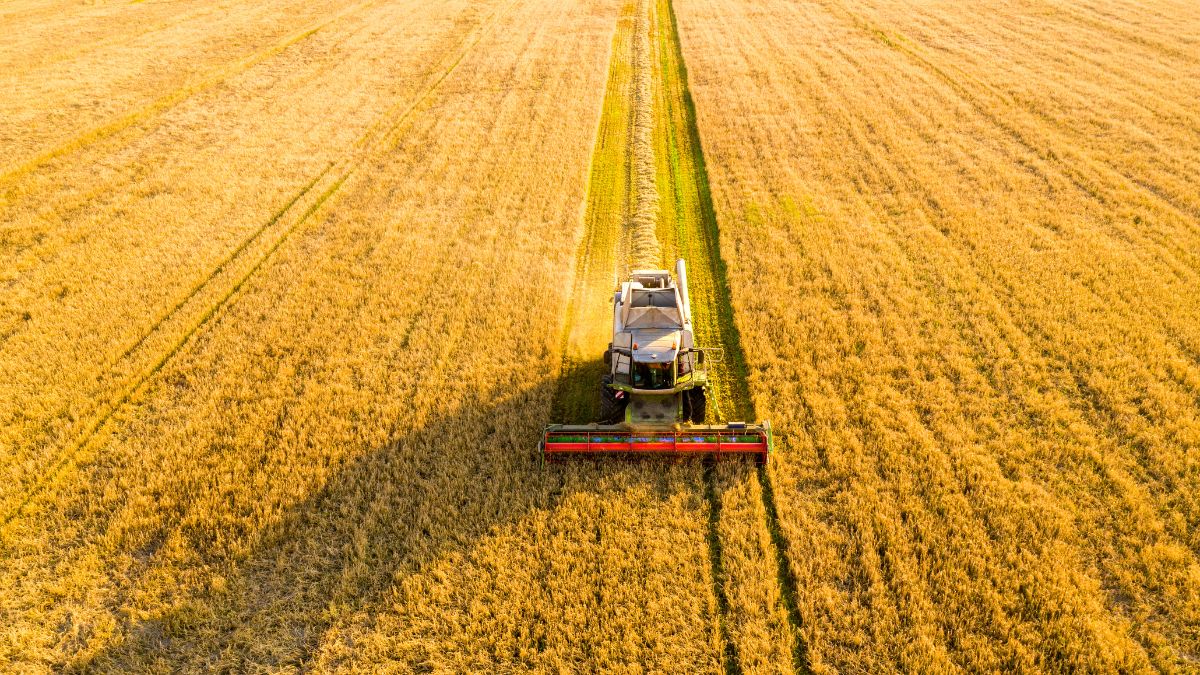 Como a tecnologia ajuda a alimentar o mundo